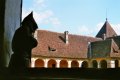 036-37_Fensterwichtel.jpg.small.jpeg